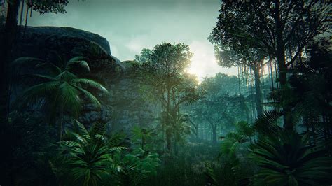 The tropical forest epic alive with magic